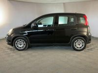 Usata Fiat Panda 70 CV (51 kW) 2024 Nero Utilitaria