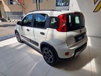 usata Fiat Panda 1.0 FireFly S&S Hybrid City Life da €113900