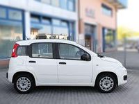 Usata Fiat Panda Easy 69 CV (50 kW) 2016 Bianco Utilitaria