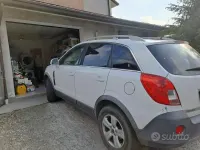 Usata Opel Antara 163 CV (119 kW) 2014 Bianco SUV
