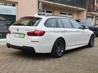 usata BMW 520 Serie 5 d usato