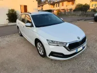 Usata Skoda Octavia Executive 116 CV (85 kW) 2022 Bianco Station wagon