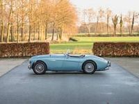 Usata Austin Healey 100 105 CV (77 kW) 1955 Blu Cabrio