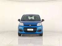 Nuova Fiat Panda Icon 69 CV (50 kW) 2025 Blu Utilitaria