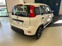 usata Fiat Panda 1.0 FireFly S&S Hybrid City Life