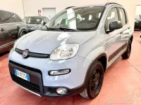 Usata Fiat Panda Cross Cross 86 CV (63 kW) 2020 Grigio Utilitaria