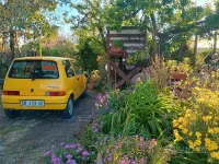 Usata Fiat 500 54 CV (39 kW) 1995 Giallo Berlina