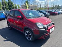 Begagnad Fiat Panda Cross Cross 70 HK (51 kW) 2024 Röd Halvkombi