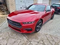 Usata Ford Mustang Fastback 317 CV (233 kW) 2024 Other Coupé