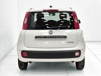 Nuova Fiat Panda Icon 65 CV (47 kW) 2026 Bianco Utilitaria