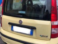 usata Fiat Panda Panda 1.4 Natural Power Classic