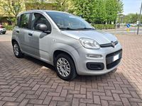 Usata Fiat Panda Easy 69 CV (50 kW) 2019 Argento Utilitaria