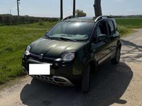 Usata Fiat Panda Cross Cross 86 CV (63 kW) 2020 Verde Utilitaria