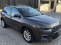 Usata Jeep Cherokee Longitude 194 CV (142 kW) 2019 Other SUV