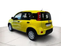 Usata Fiat Panda 70 CV (51 kW) 2024 Giallo Utilitaria