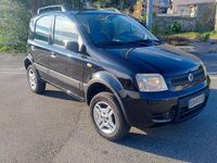 Usata Fiat Panda 4x4 69 CV (50 kW) 2007 Nero Utilitaria