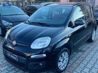 Usata Fiat Panda Lounge 69 CV (50 kW) 2018 Nero Utilitaria