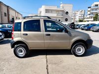 Usado Fiat Panda 4x4 Active 69 HP (50 kW) 2009 Castanho Citadino
