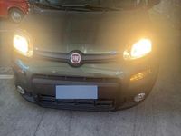 Usata Fiat Panda 2019 Verde Utilitaria