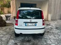 Usata Fiat Panda Emotion 60 CV (44 kW) 2009 Bianco Utilitaria