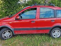 Usata Fiat Panda 60 CV (44 kW) 2008 Rosso Utilitaria