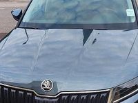 Usata Skoda Kodiaq 2020 Grigio SUV