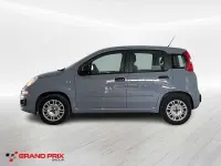 Usata Fiat Panda Easy 69 CV (50 kW) 2019 Grigio Utilitaria