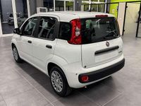 Nuova Fiat Panda S 69 CV (50 kW) 2025 Bianco Utilitaria