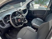 Usata Fiat Panda 70 CV (51 kW) 2019 Bianco Utilitaria