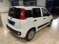 Usata Fiat Panda Easy 69 CV (50 kW) 2021 Bianco Berlina