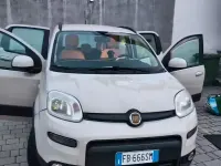 Usata Fiat Panda 4x4 85 CV (62 kW) 2013 Utilitaria