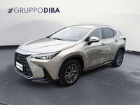 Usata Lexus NX350h 243 CV (178 kW) 2023 Grigio SUV