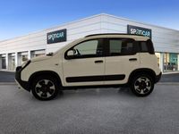 usata Fiat Panda Cross 1.0 FireFly 70cv S&S Hybrid