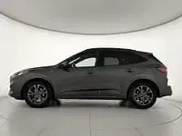 Usata Ford Kuga Business Edition 120 CV (88 kW) 2022 Grigio SUV