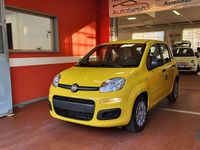 Nuova Fiat Panda Pop 65 CV (47 kW) 2026 Giallo Berlina