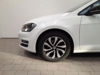 usata VW Golf 1.6 TDI 90 CV 5p. Trendline BlueMotion Technology