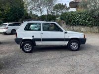Usata Fiat Panda 4x4 Trekking 54 CV (39 kW) 2001 Bianco Utilitaria