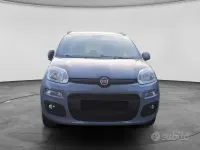 Usata Fiat Panda Lounge 70 CV (51 kW) 2020 Grigio Utilitaria