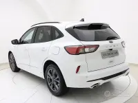 Usata Ford Kuga ST-Line 120 CV (88 kW) 2022 Bianco SUV