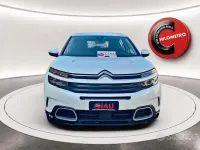 Usata Citroën C5 Aircross Feel 131 CV (96 kW) 2021 Bianco SUV