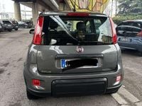 Usata Fiat Panda City Life 69 CV (50 kW) 2023 Utilitaria