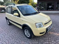 Usata Fiat Panda 4x4 69 CV (50 kW) 2009 Giallo Utilitaria