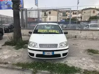 Usata Fiat Punto Classica 60 CV (44 kW) 2009 Other Utilitaria