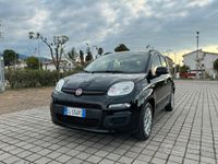 usata Fiat Panda 1.2 * benzina * anno 2012