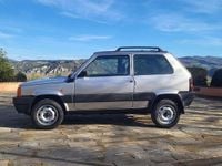 Usata Fiat Panda 4x4 Trekking 54 CV (39 kW) 2002 Argento Utilitaria
