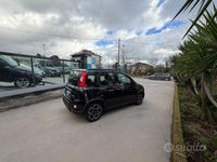 Usata Fiat Panda S 69 CV (50 kW) 2022 Utilitaria