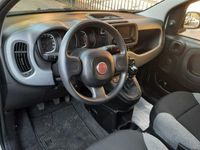 usata Fiat Panda Cross 1.0 city