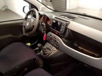 Usata Fiat Panda Cross Cross 69 CV (50 kW) 2024 Verde Utilitaria