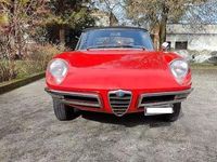 Usata Alfa Romeo Spider 1960 Rosso Cabrio