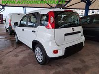 Usata Fiat Panda S 70 CV (51 kW) 2023 Bianco Utilitaria